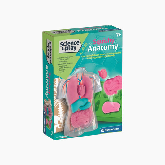 Clementoni Anatomy Squishy (USA)