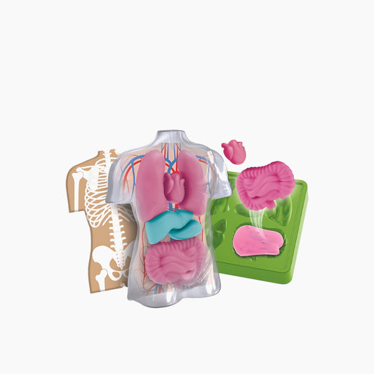 Clementoni Anatomia Squishy