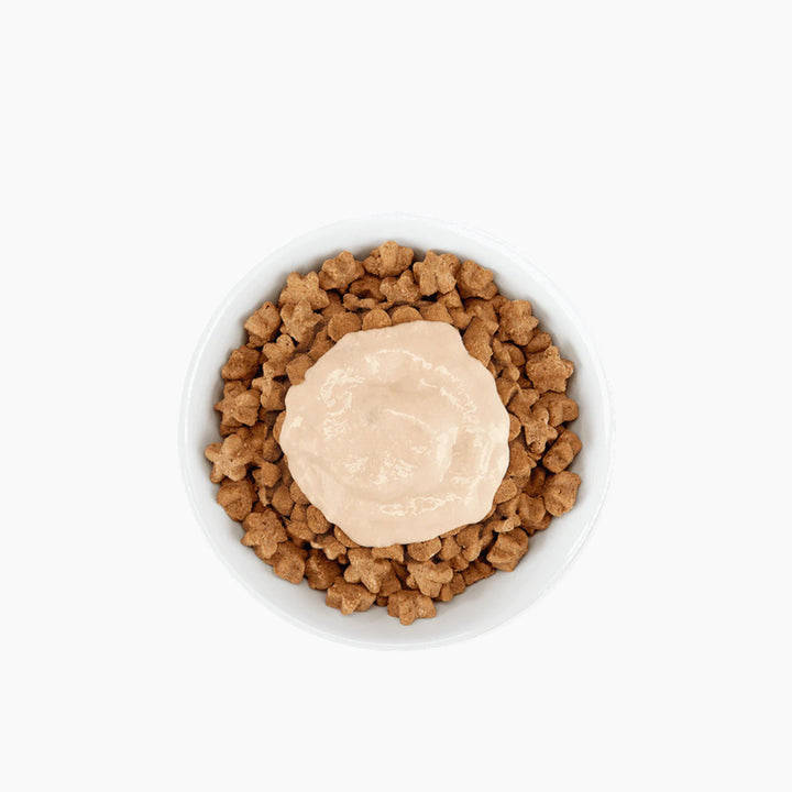 Schesir Stix cat treats chicken flavor pouch