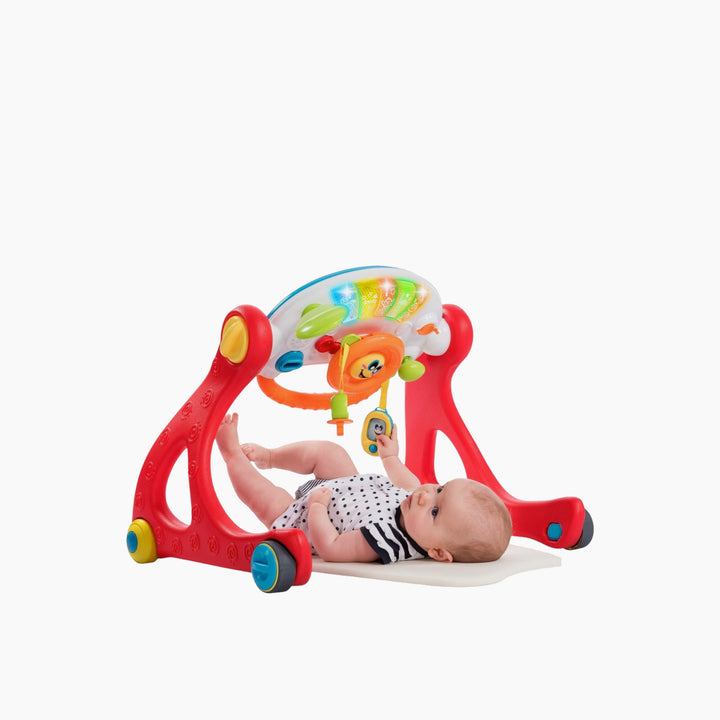 Chicco Grow And Walk Gym 4 In 1