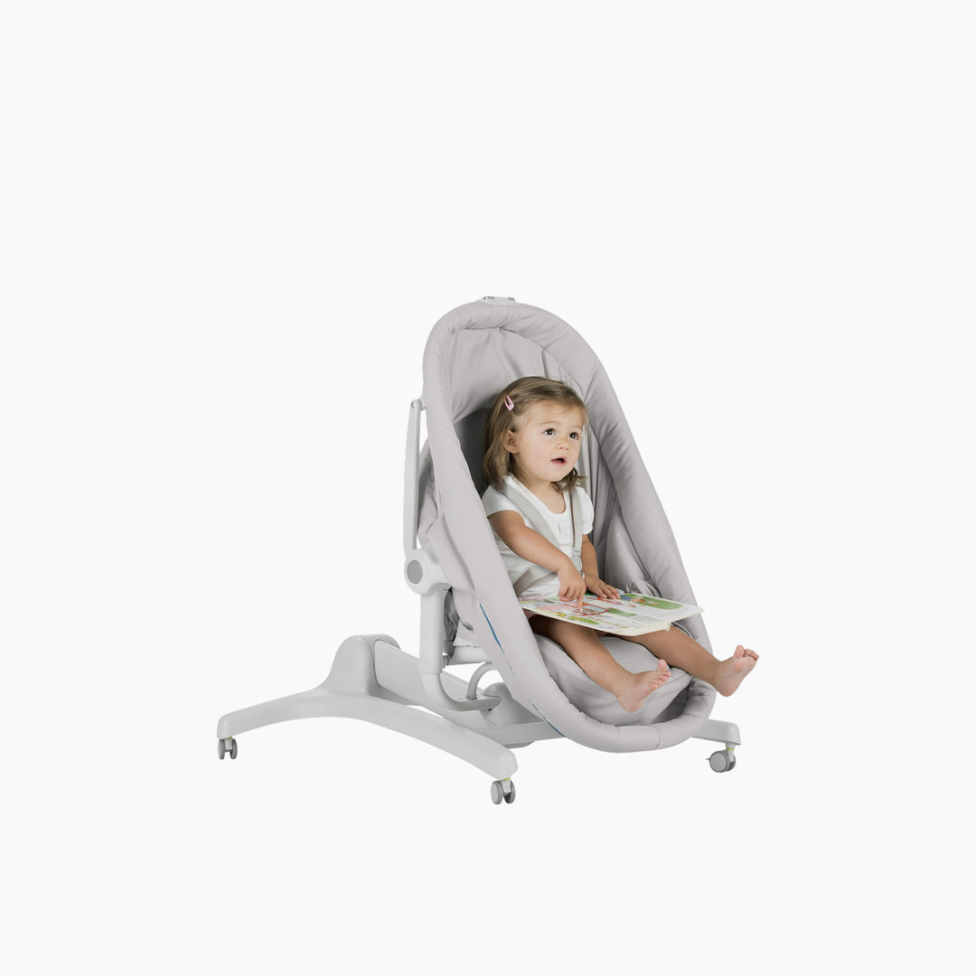 Chicco Baby Hug 4 In 1