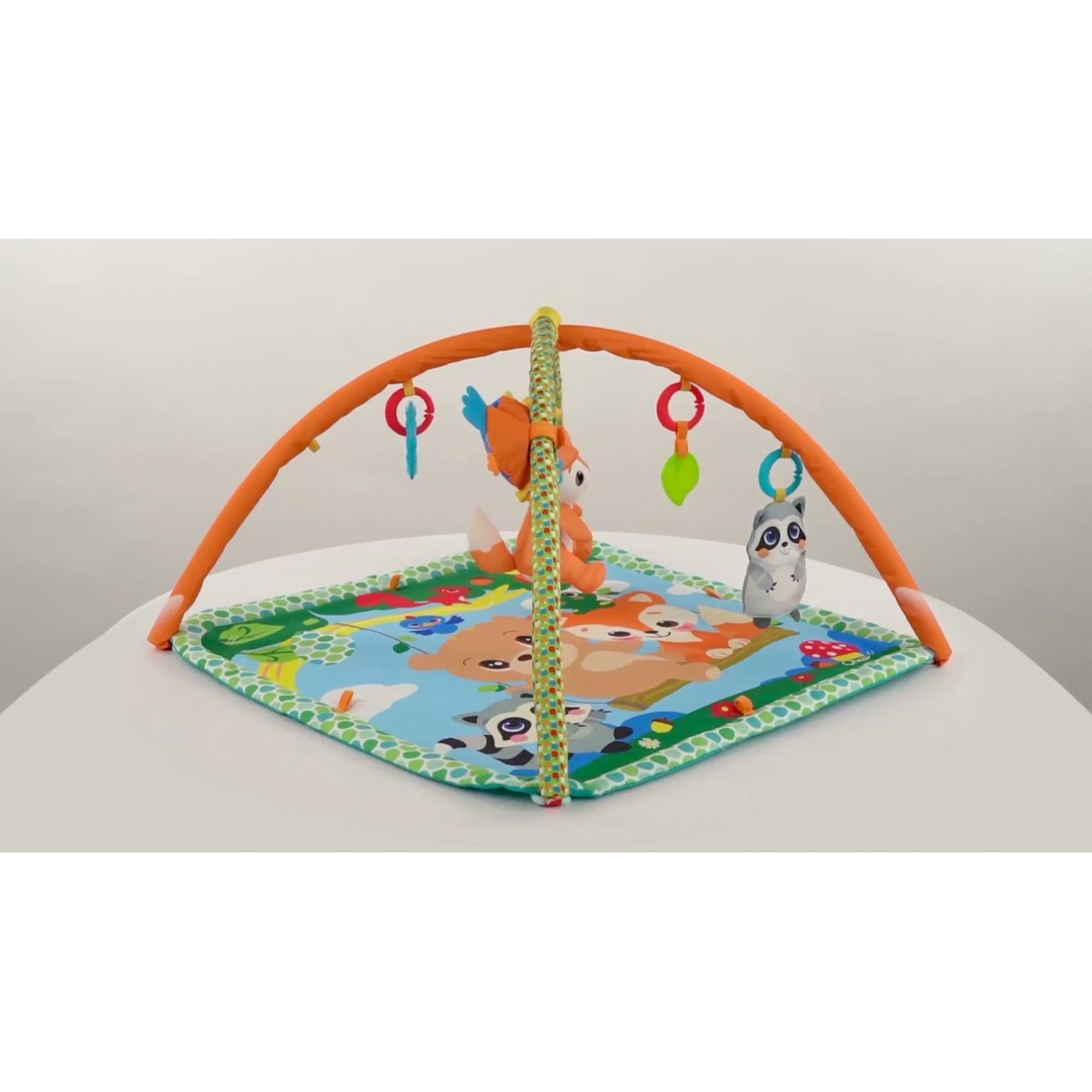 Chicco Toy M&amp;G Magic Forest Gym