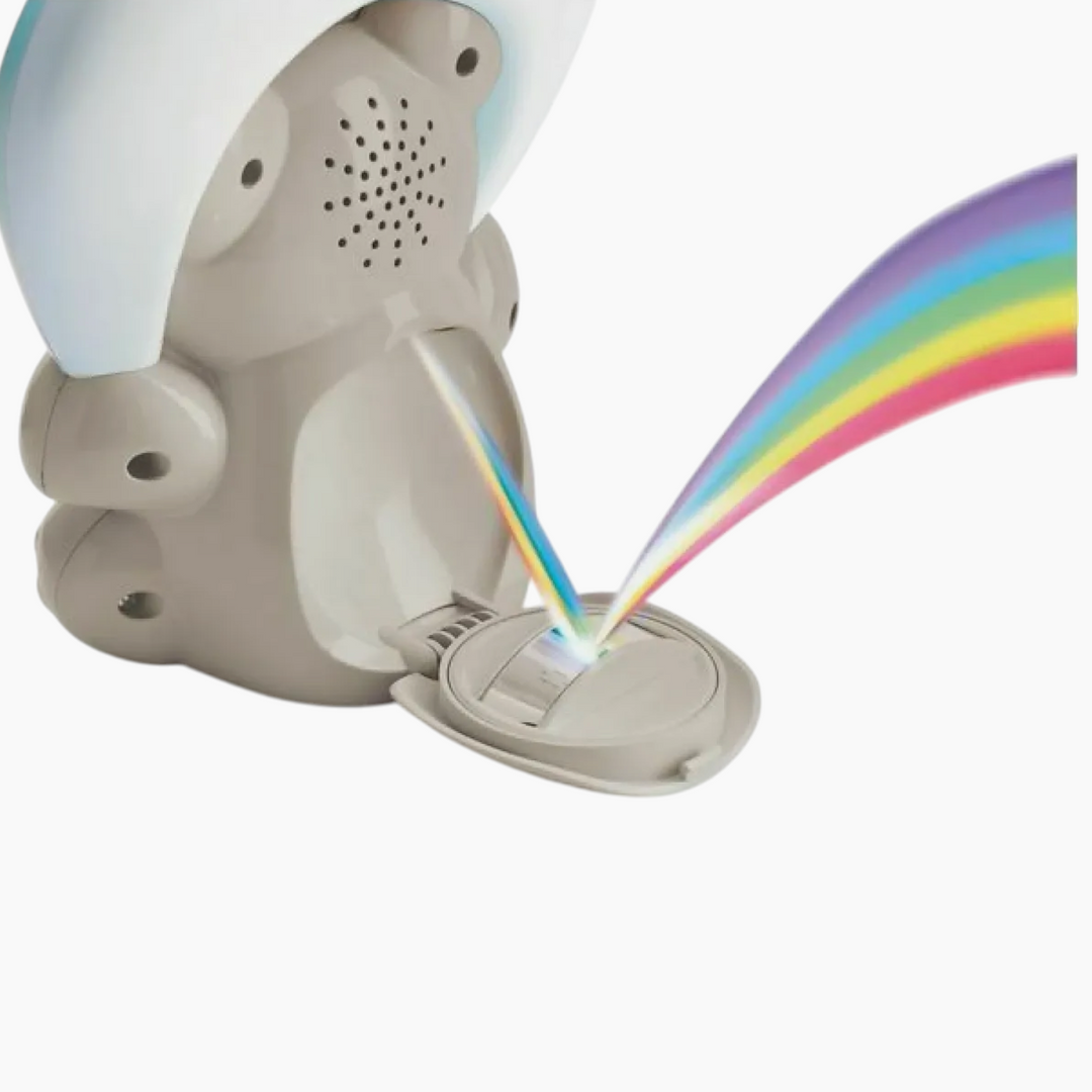 Chicco Toy Fd Rainbow Bear