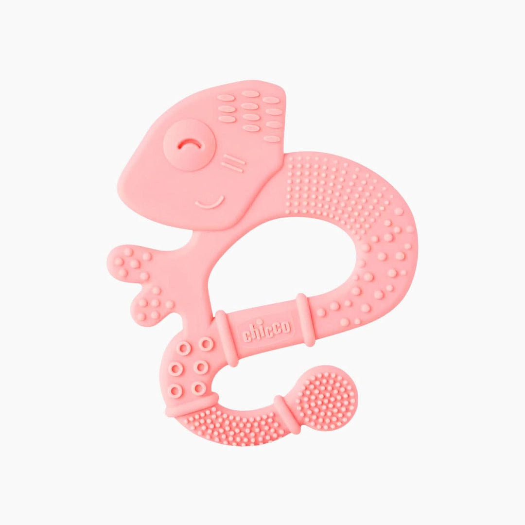 Chicco Soft Bristles Teether