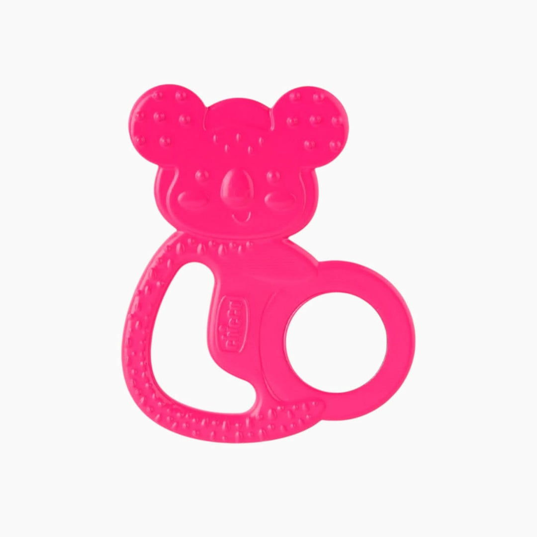 Chicco Stainless Steel Fresh 4M+ Teether