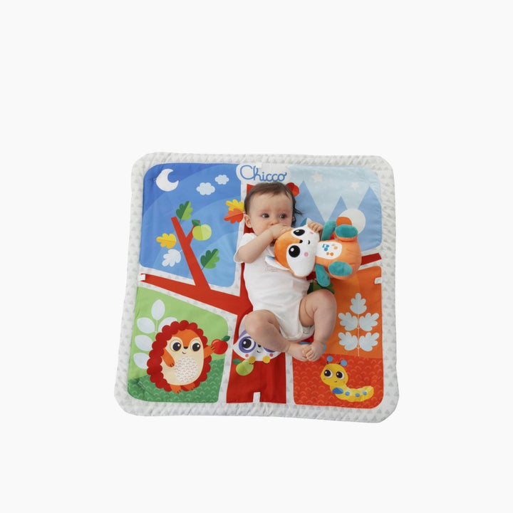 Chicco Toy Magic Forest Relax Play Gym