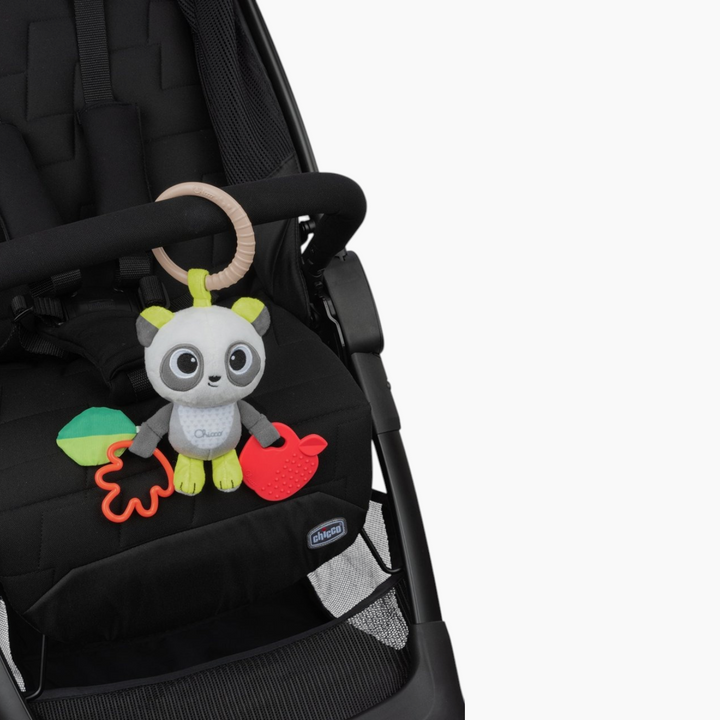Chicco Toy Bsf First Activities Panda Rattle