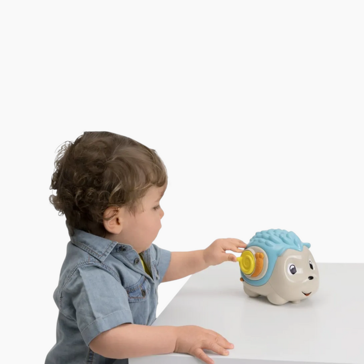 Chicco Toy Bsf Day&amp;Night Hedgehog