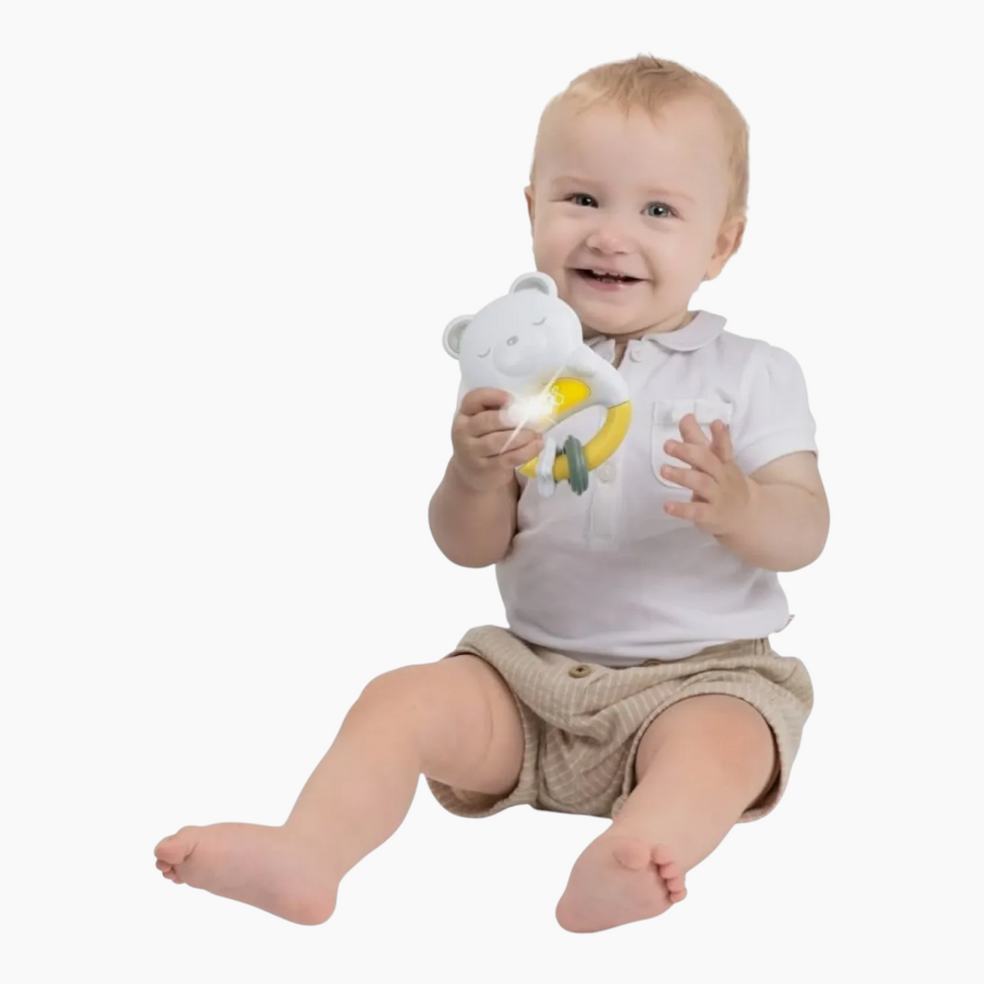 Chicco Toy Fd Day And Night Rattle