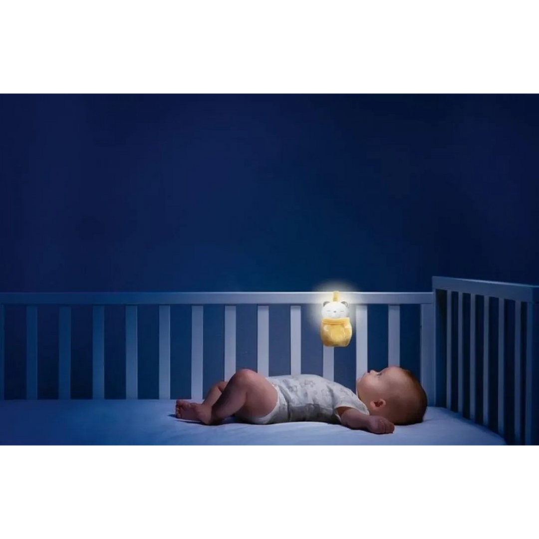 Chicco Toy Fd Day And Night Rattle