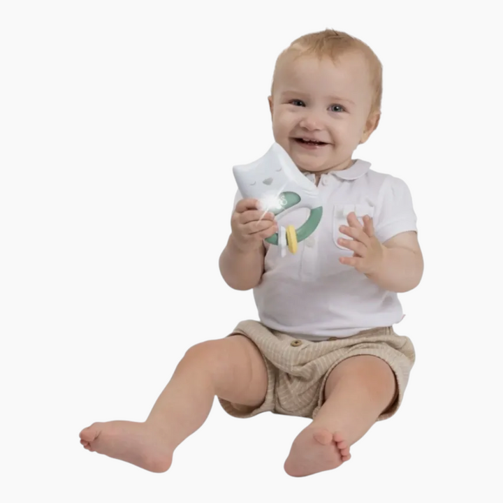 Chicco Toy Fd Day And Night Rattle