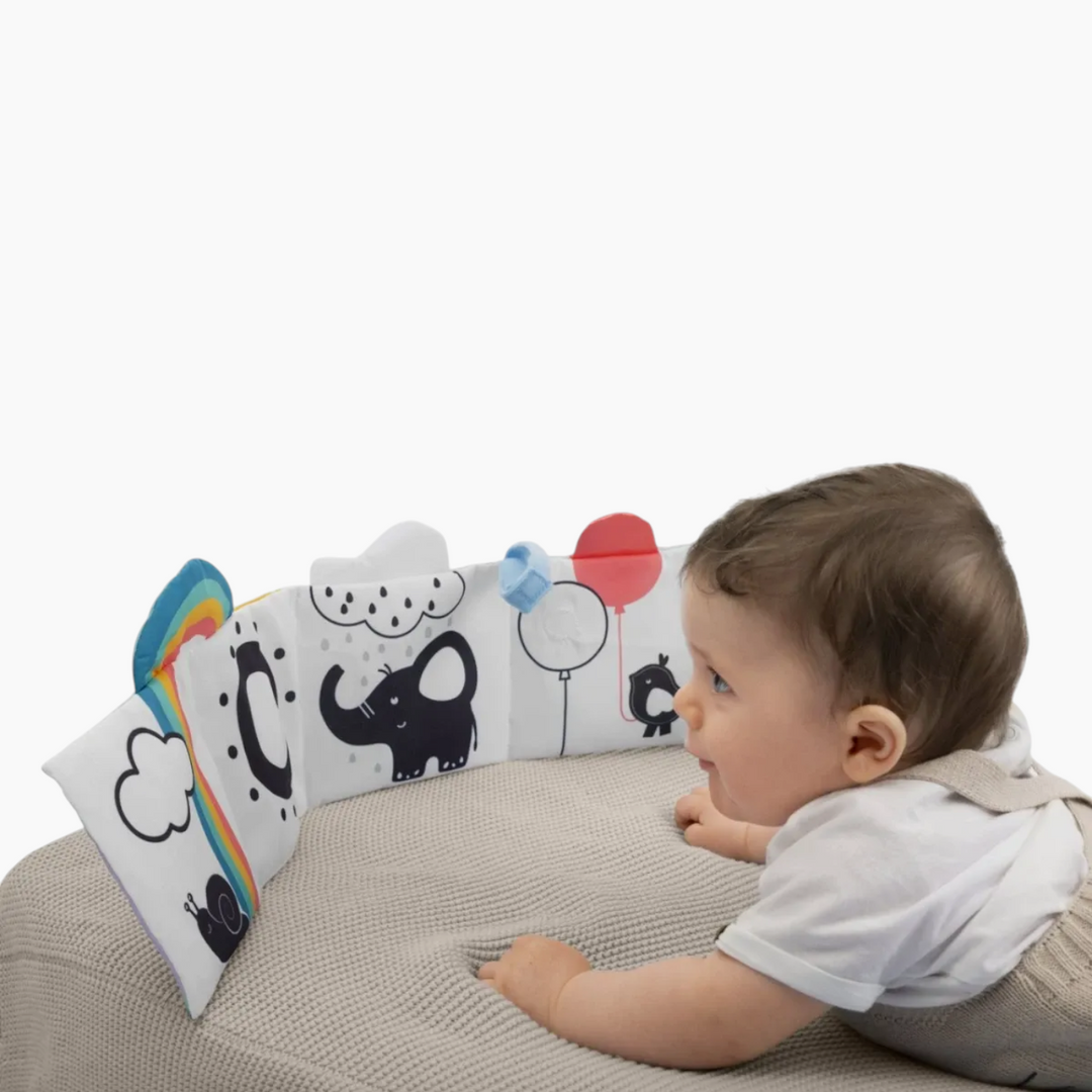 Chicco Toy Msd Sensory Book