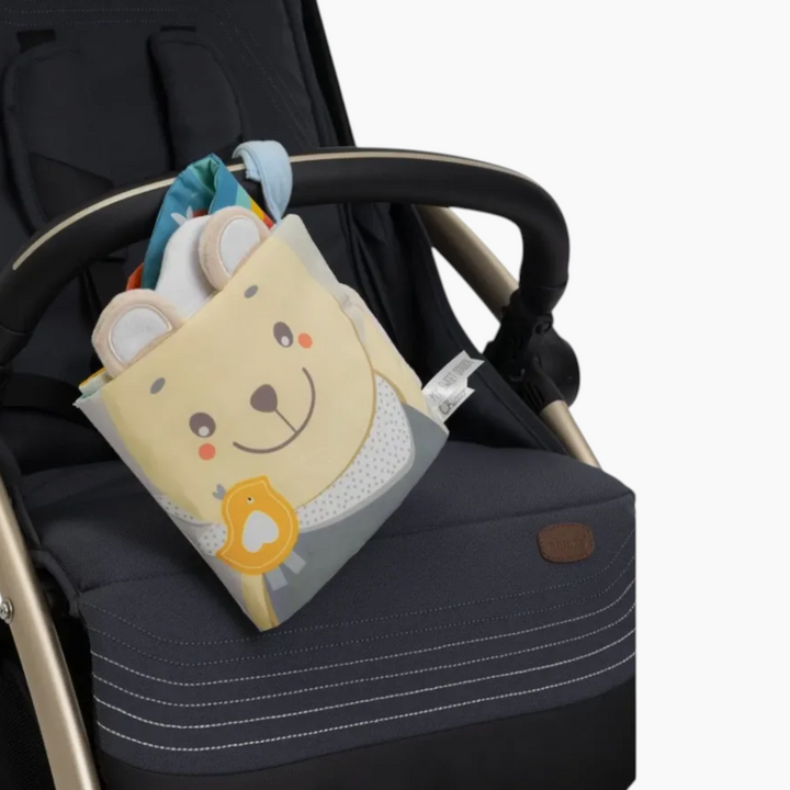 Chicco Toy Msd Sensory Book