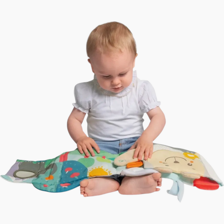 Chicco Toy Msd Sensory Book