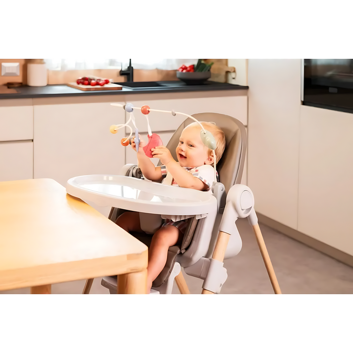 Chicco Activity Center Polly Armonia Rainbow