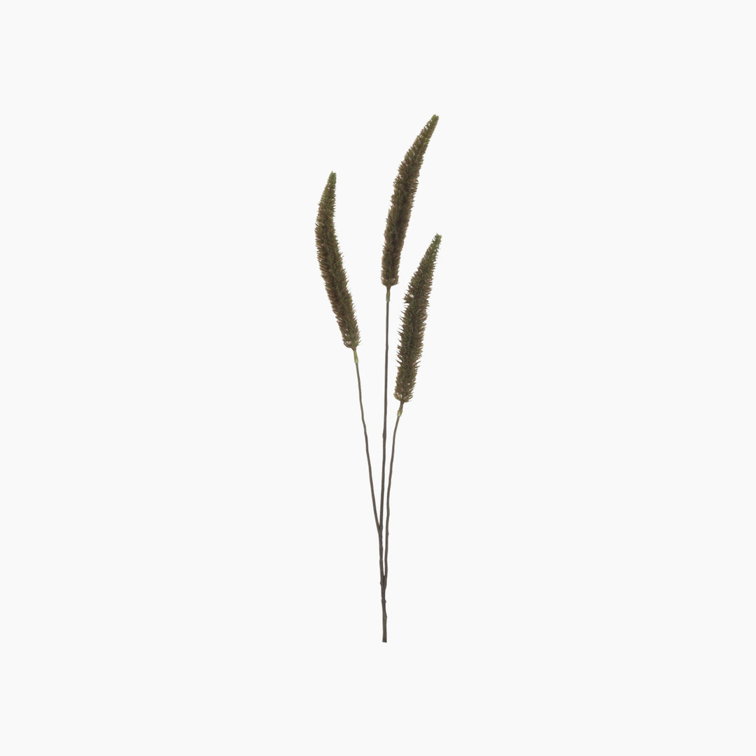 Natural Banksia branch decorative accent