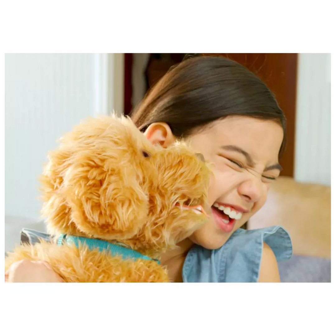 810017182077MojiTheLovableLabradoodle_4_framed - HUNA