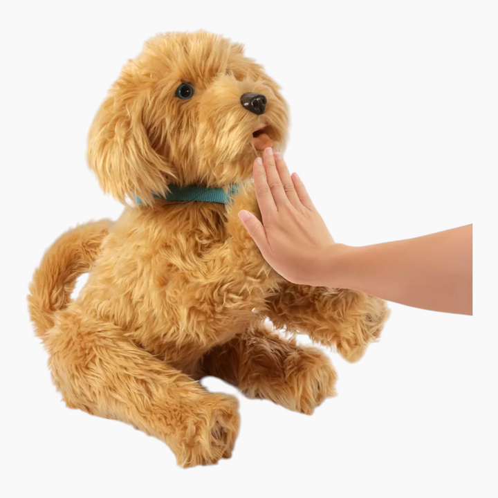 810017182077MojiTheLovableLabradoodle_5 - HUNA