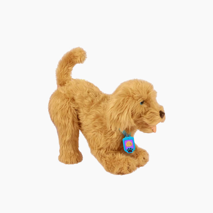 810017182077MojiTheLovableLabradoodle_7_formatted - HUNA