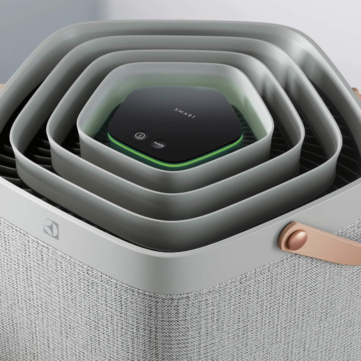 Air Purifire Electrolux Air Purifier Grey