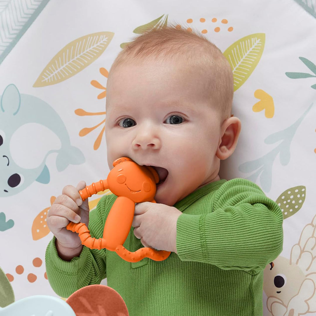Fisher-Price Newborn Teether Assortment