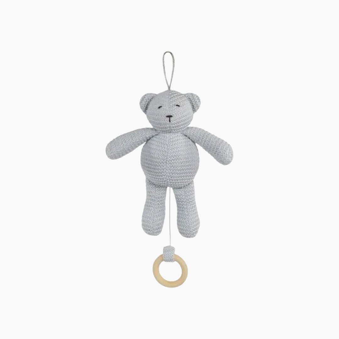 Pasito A Pasito Knitted Musical Bear