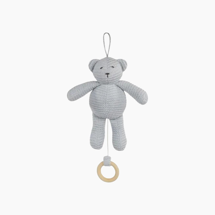 Pasito A Pasito Knitted Musical Bear