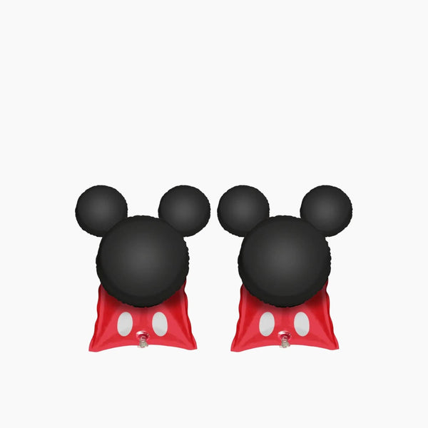 Eolo Disney 3D Arm Bands