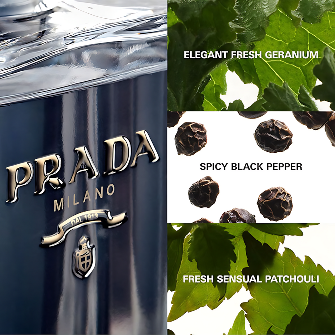 Prada L&