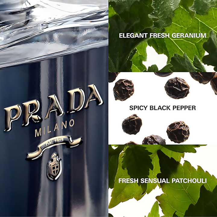 Prada L&