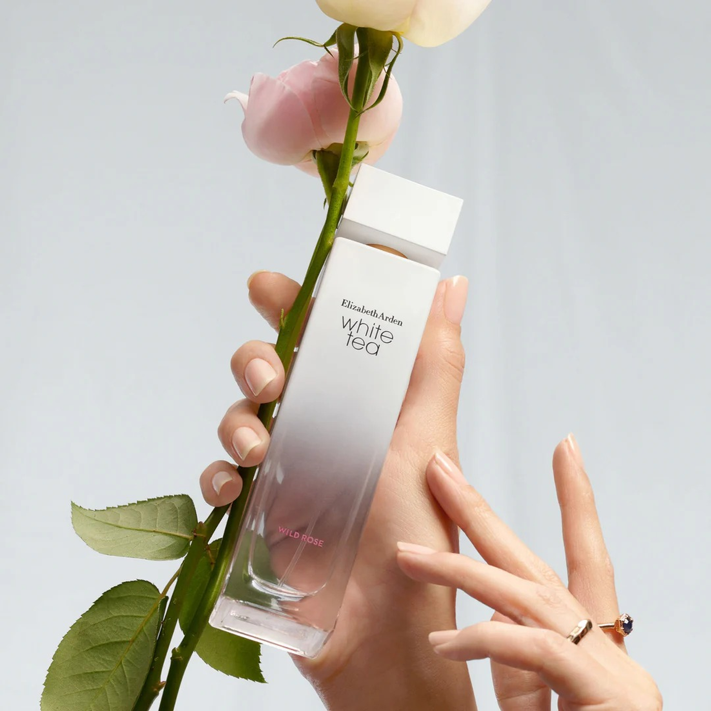 Elizabeth Arden White Tea Wild Rose EDT 100Ml For Women Elizabeth Arden White Tea Wild Rose EDT 100Ml For Women