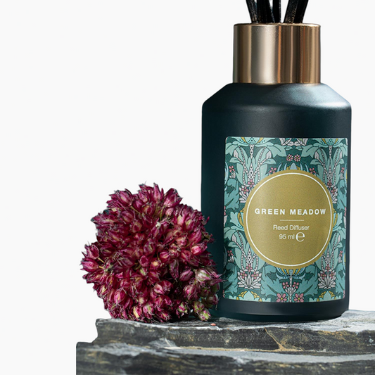 موزع روائح العطر EH Living Green Meadow Reed Diffuser 95 مل أخضر