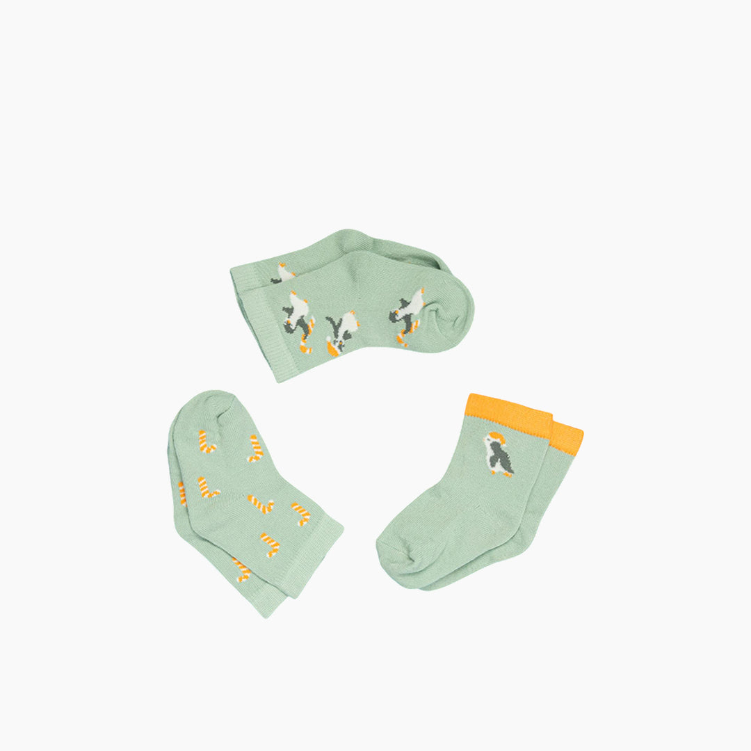 EH Living Little Penguin Cotton 3 pcs Baby Socks 6-12 Months Green