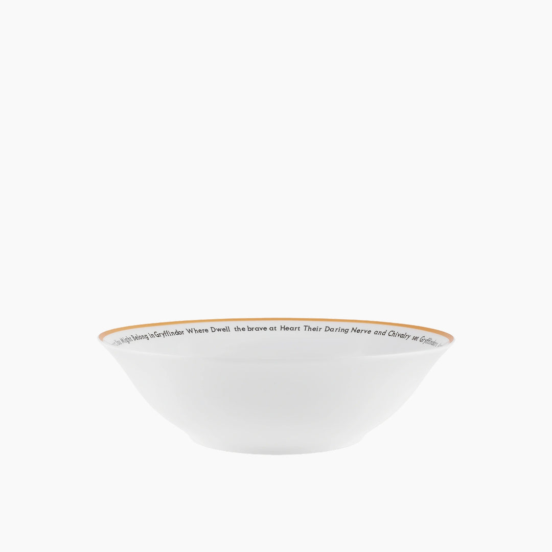 Karaca Harry Potter Gryffindor Salad Bowl 23 cm – Multicolor