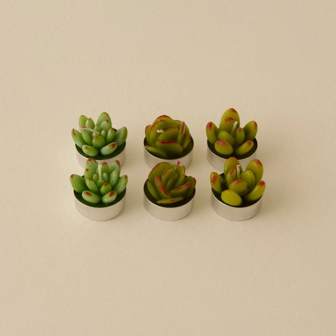 Karaca Home Succulent Tealight Candle Set - 6 Pieces