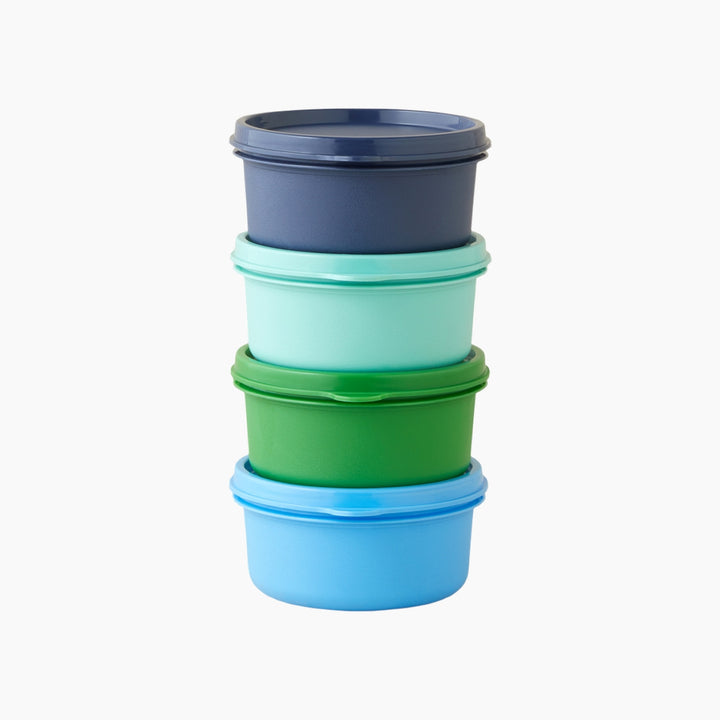 EH Aline Plastic 4 Pcs Storage Container 280 Ml Green - Blue
