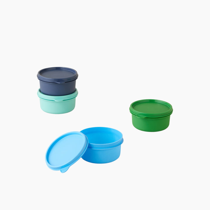 EH Aline Plastic 4 Pcs Storage Container 280 Ml Green - Blue