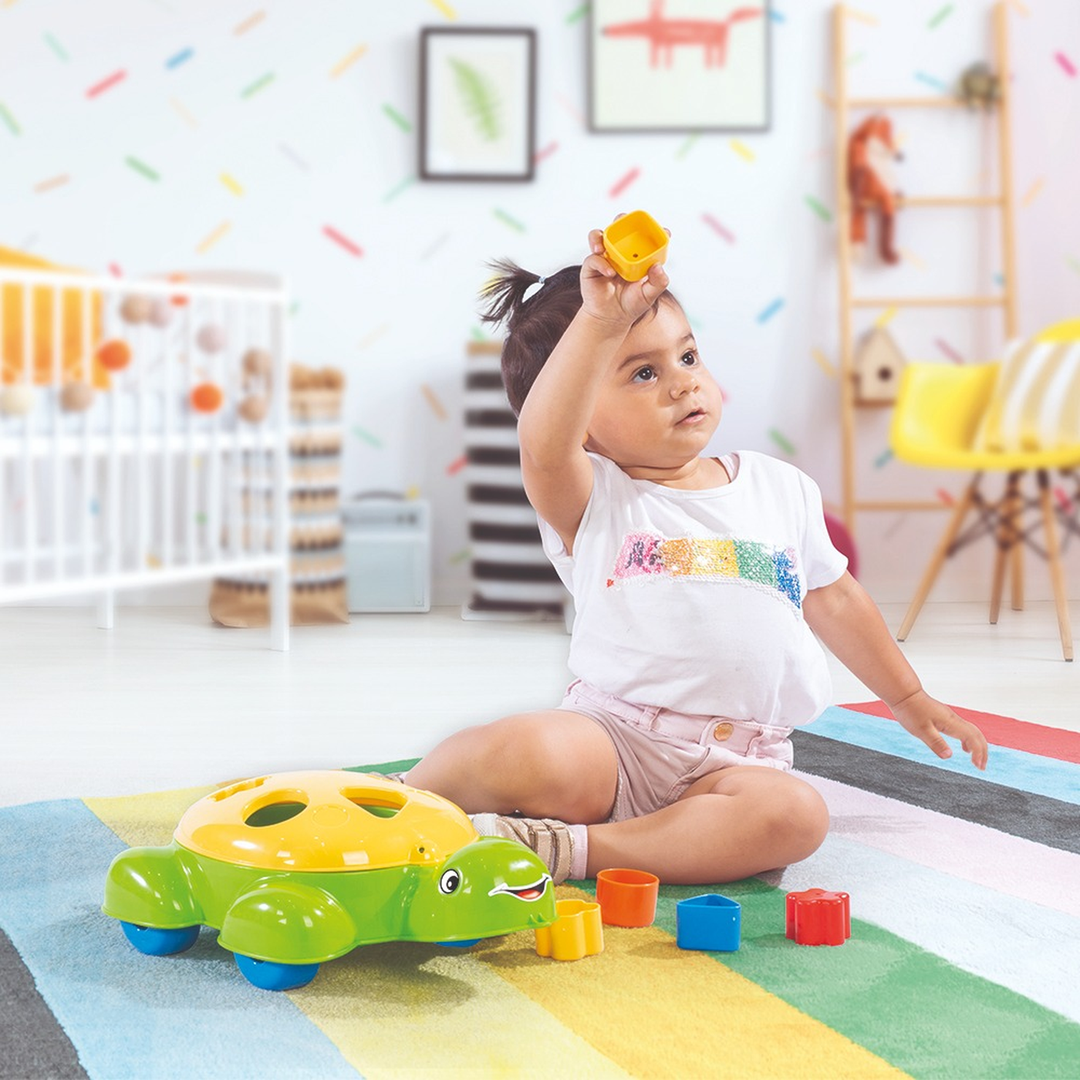 Dolu Turtle Shape Sorter Toy