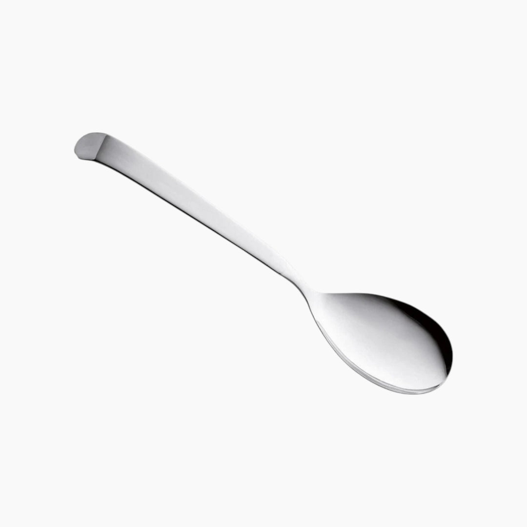 Pinti ASTRA 24cm stainless steel serving spoon