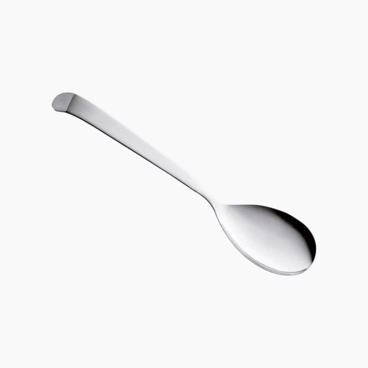 Pinti ASTRA 24cm stainless steel serving spoon