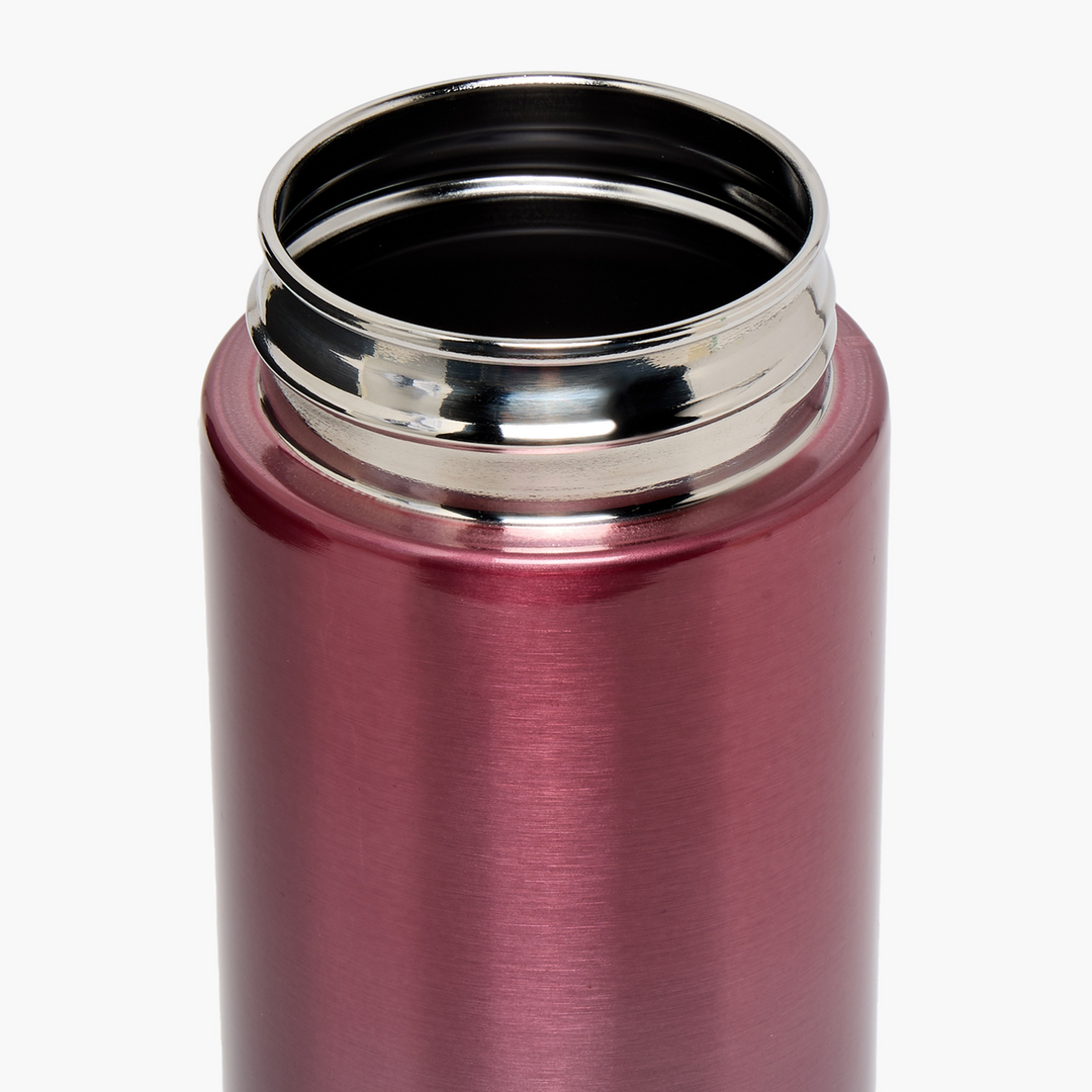 Smash Ombre Stainless Steel Sipper Water Bottle With Spout - 750 Ml