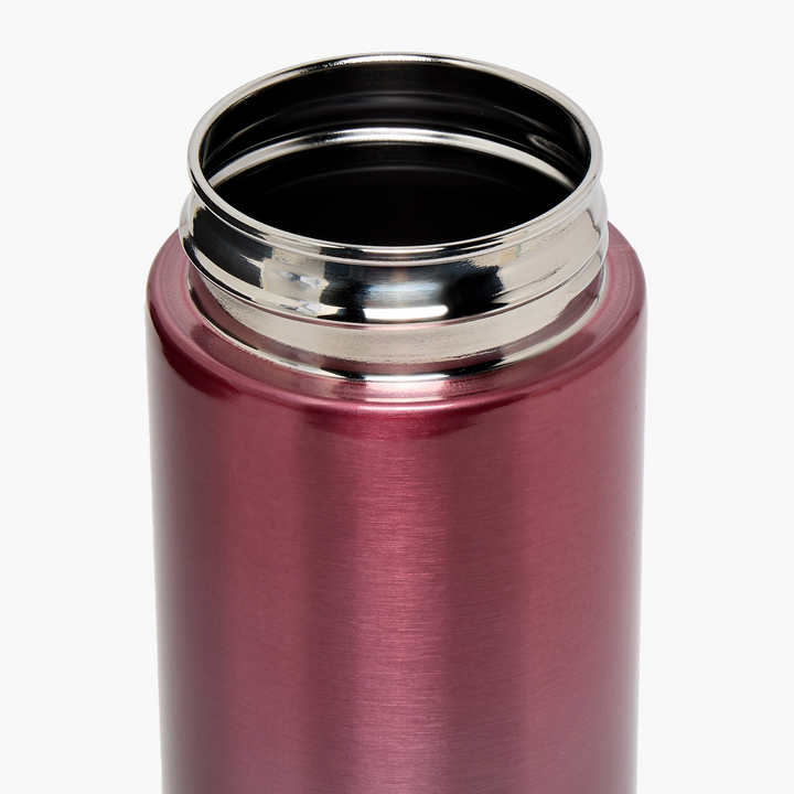 Smash Ombre Stainless Steel Sipper Water Bottle With Spout - 750 Ml