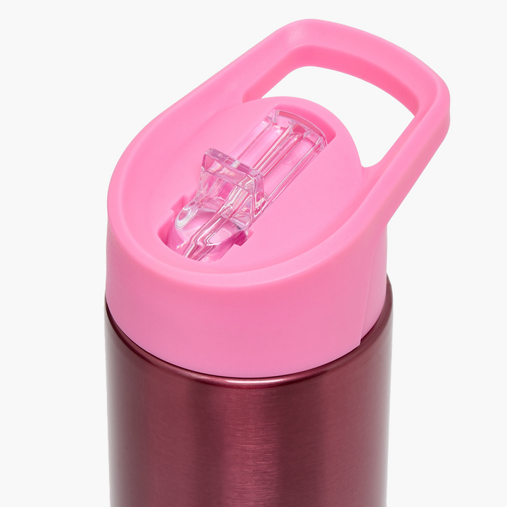 Smash Ombre Stainless Steel Sipper Water Bottle With Spout - 750 Ml