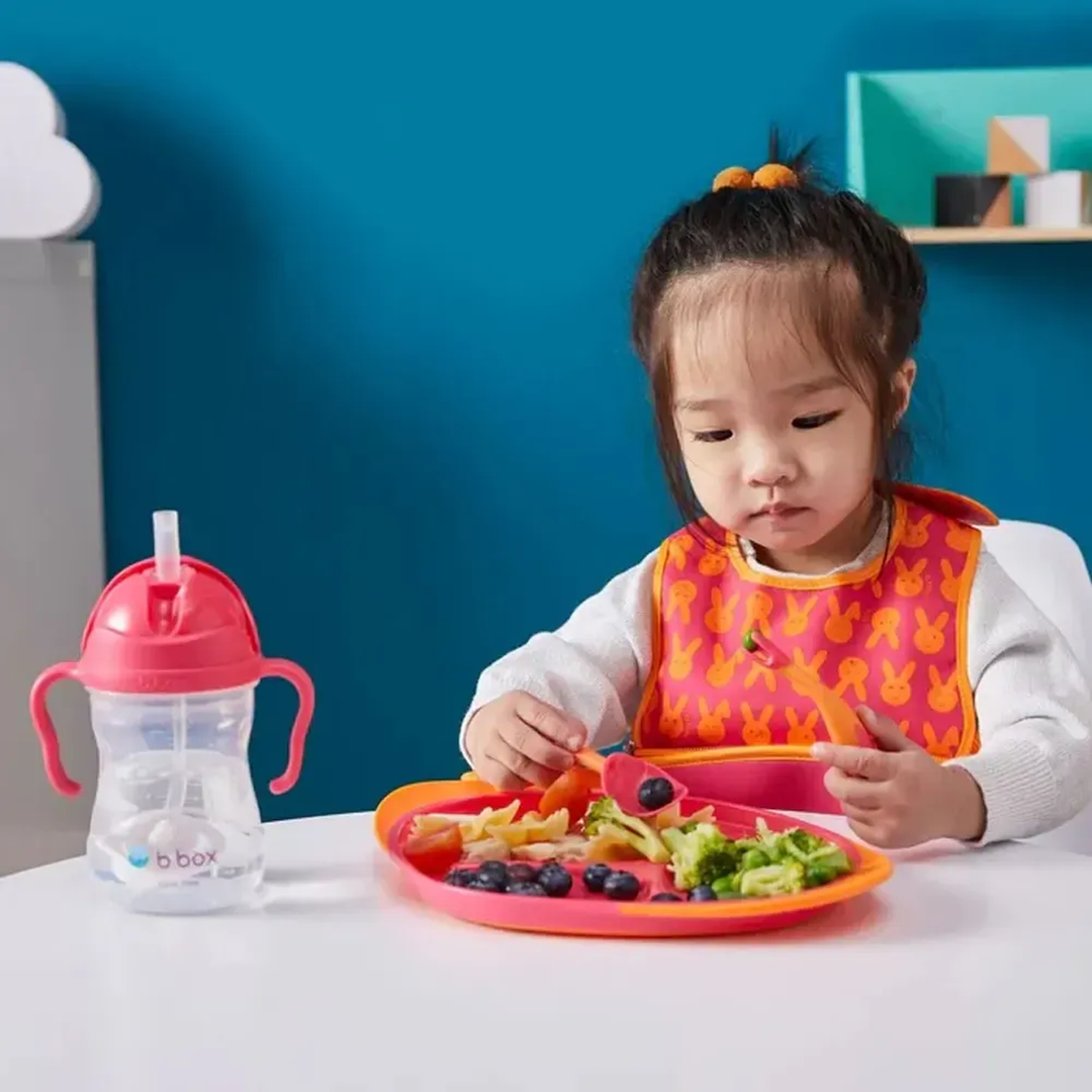 B.Box Feeding Set