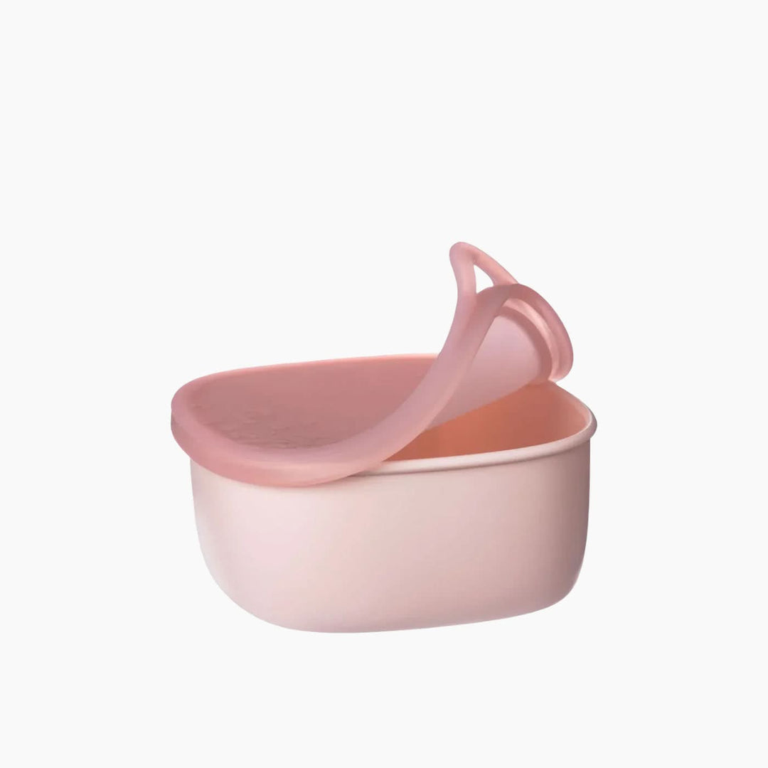 B.Box Lunch Container