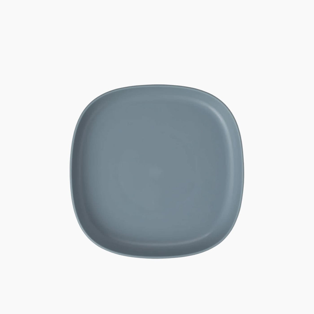 B.Box 2 In 1 Suction Plate