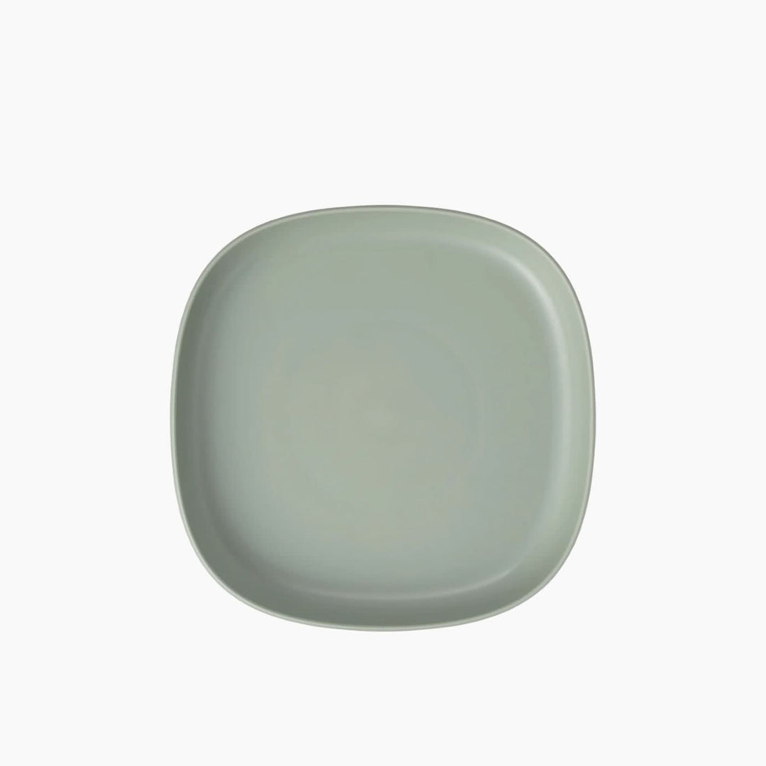 B.Box 2 In 1 Suction Plate