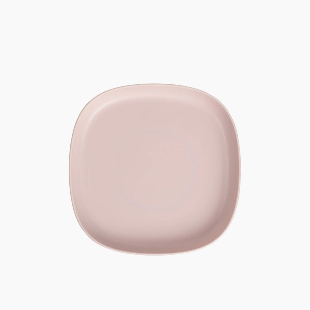 B.Box 2 In 1 Suction Plate