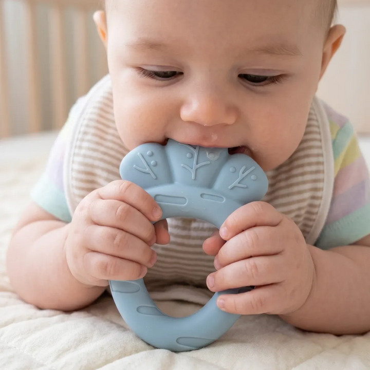 Ababy Silicone Carrot Teether Easy Grip Textured Baby Teething Toy 4 Months Plus
