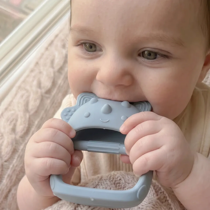 Ababy Silicone Dino Hand Grip Teether Easy Hold Textured Teething Toy 4 Months Plus